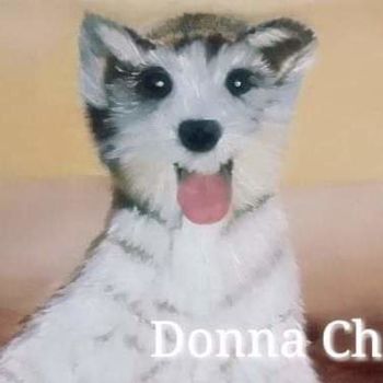 Картина под названием "Dog" - Mei Ha Chan (Donna), Подлинное произведение искусства, Пигменты