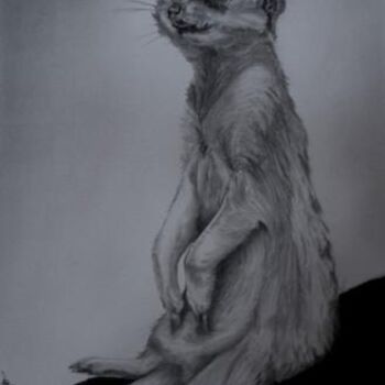 「Meerkat」というタイトルの描画 Don Pritchettによって, オリジナルのアートワーク