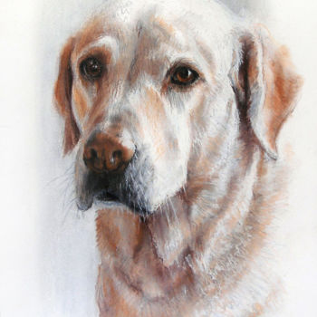 Painting titled "Totty" by Dora Bardl, Original Artwork, Pastel