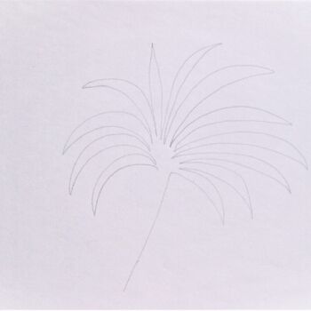 Рисунок под названием "o.T. (palmier)" - Dorothea Breit, Подлинное произведение искусства, Карандаш