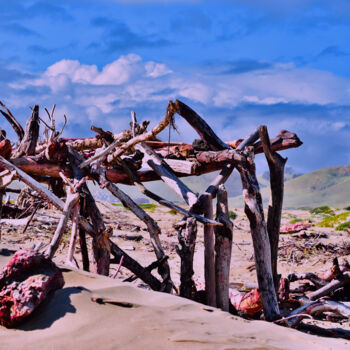 Photography titled "Morro-Bay" by Dorothy Gales'Eyes, Original Artwork, Digital Photography