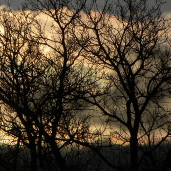 Photographie intitulée "Early Evening Sky,…" par Doug Dunigan, Œuvre d'art originale, Photographie numérique