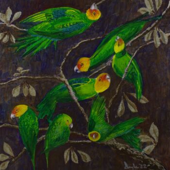 Ζωγραφική με τίτλο "Carolina Parakeets" από Douglas Black, Αυθεντικά έργα τέχνης, Λάδι