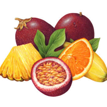 Painting titled "Passion Fruit, Pine…" by Douglas Schneider, Original Artwork, Watercolor