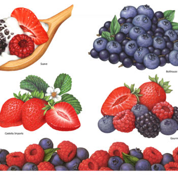 Painting titled "Various Berry Illus…" by Douglas Schneider, Original Artwork, Watercolor