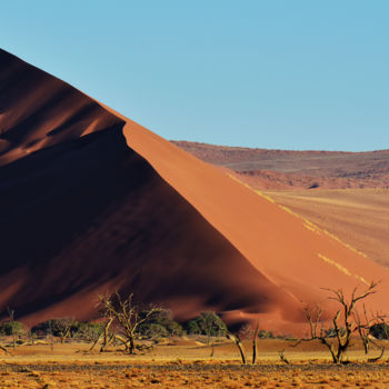 Photography titled "NAMIBIE 8" by Denis Poutet, Original Artwork