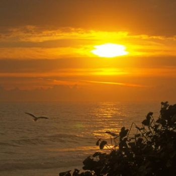 Фотография под названием "Sunrise Florida" - Drew Gibson, Подлинное произведение искусства