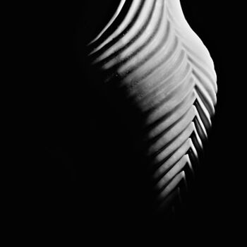Fotografie mit dem Titel "Vase #2" von Duncan Bennett, Original-Kunstwerk, Digitale Fotografie