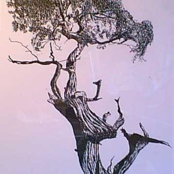 Tekening getiteld "Lone Cedar" door Dennis Farris, Origineel Kunstwerk