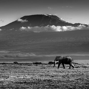 "Elephant in front o…" başlıklı Fotoğraf Dylan Olivier tarafından, Orijinal sanat, Dijital Fotoğrafçılık