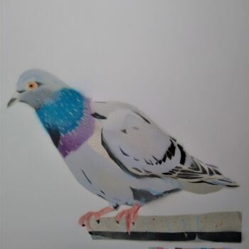 Peinture intitulée "'Pigeon' - Signed L…" par Dylan Bell (Bells Galleries), Œuvre d'art originale, Bombe aérosol
