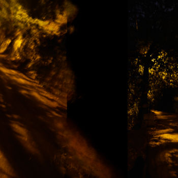 Photography titled "Reflected Nights#1" by Elyane Natalicchi, Original Artwork, Digital Photography
