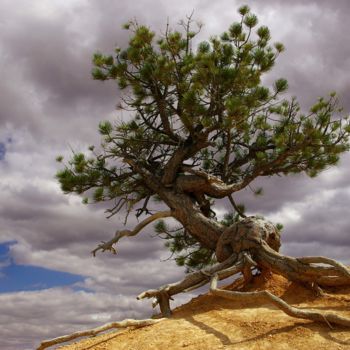 Photographie intitulée "Bryce Canyon" par E4sound, Œuvre d'art originale, Photographie numérique