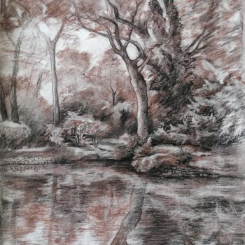 Картина под названием "Дерево у озера" - Елизавета Чеча, Подлинное произведение искусства, Карандаш