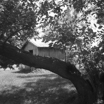 Fotografia zatytułowany „Tree with Shed” autorstwa Gina Acord, Oryginalna praca