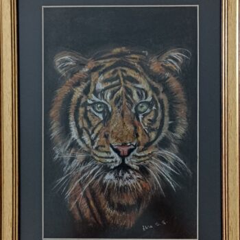 Рисунок под названием "Tiger" - Ebru Süsoy Şimşek, Подлинное произведение искусства, Мел