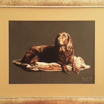 图画 标题为“Le chien...” 由Phil, 原创艺术品, 粉彩 安装在木板上