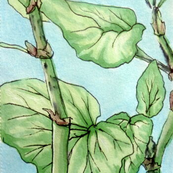 Dibujo titulada "Begonia" por Edith Bos Boyer (EDITH DONC), Obra de arte original, Rotulador