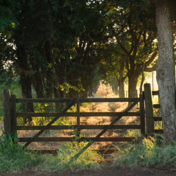 "wood-gate.jpg" başlıklı Fotoğraf Edsmor tarafından, Orijinal sanat