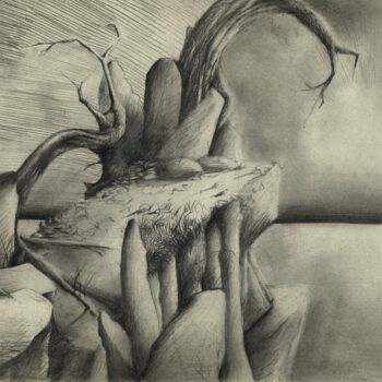 Рисунок под названием "NATURE MURDERED 2 E…" - Eduardo Bustos Segovia, Подлинное произведение искусства, Карандаш Установлен…