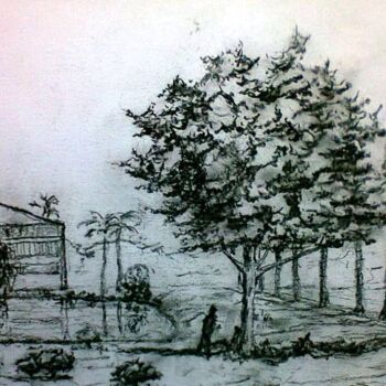 Dibujo titulada "Lago na Praça da Fe…" por Eduardo Machado, Obra de arte original, Carbón Montado en Vidrio