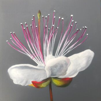 Peinture intitulée "Kapernblüte" par Daniel Rohrbach, Œuvre d'art originale, Acrylique