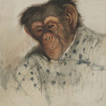 Schilderij getiteld "Tête de chimpanzé" door Edward Lear, Origineel Kunstwerk, Aquarel