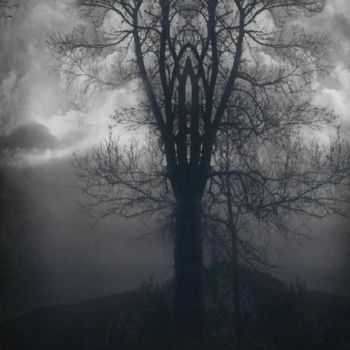 Arte digitale intitolato "Tree" da Ed Ward, Opera d'arte originale, Fotomontaggio