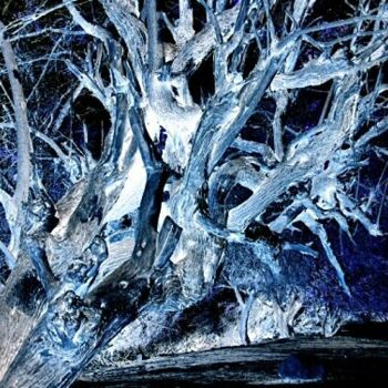 Fotografia intitolato "Old tree 1" da Efi Keren, Opera d'arte originale