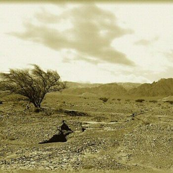 Фотография под названием "Wind of the desert" - Efi Keren, Подлинное произведение искусства