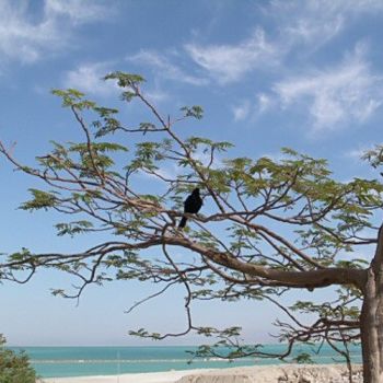 Fotografia intitulada "Bird on tree" por Efi Keren, Obras de arte originais