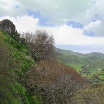 "Israeli landscape 6" başlıklı Fotoğraf Efi Keren tarafından, Orijinal sanat