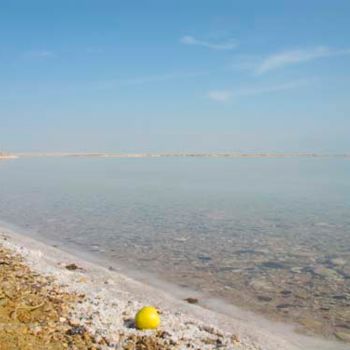 Fotografia zatytułowany „Dead sea alive 1” autorstwa Efi Keren, Oryginalna praca