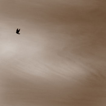 Photographie intitulée "sky-cloud-bird-egil…" par Egils Spuris, Œuvre d'art originale