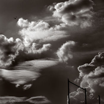 Fotografia intitolato "sky-cloud-bird-egil…" da Egils Spuris, Opera d'arte originale