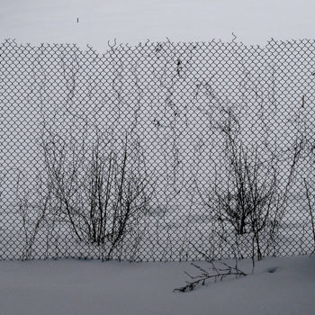 Photography titled "09-winter-fence-egi…" by Egils Spuris, Original Artwork