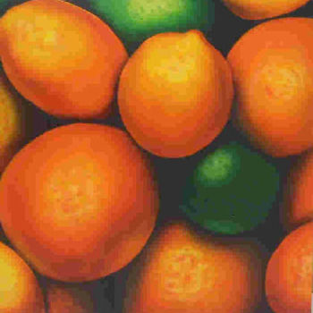 Pintura titulada "citricos" por Eguer, Obra de arte original