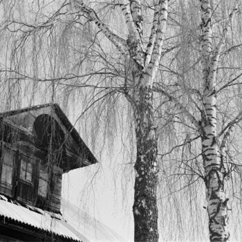 Fotografia intitolato "Winter slumber" da Ekaterina Kastalskaya, Opera d'arte originale, fotografia a pellicola