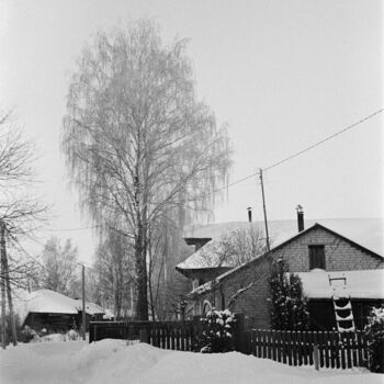 Photography titled "The birch in silence" by Ekaterina Kastalskaya, Original Artwork, Analog photography