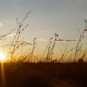 Fotografía titulada "Sunset blues" por Ekaterina Kastalskaya, Obra de arte original, Fotografía analógica