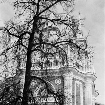 Fotografia intitolato "What the trees don'…" da Ekaterina Kastalskaya, Opera d'arte originale, fotografia a pellicola