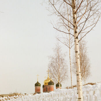 Φωτογραφία με τίτλο "Shades of white" από Ekaterina Kastalskaya, Αυθεντικά έργα τέχνης, Φωτογραφική ταινία