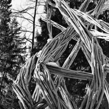 Photographie intitulée "Bizarre trees" par Ekaterina Kastalskaya, Œuvre d'art originale, Photographie argentique