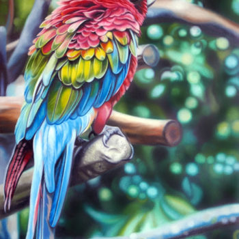 Painting titled "parrot" by Ekaterina Perepeliatnik, Original Artwork, Oil