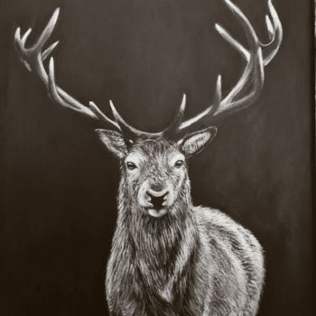 Painting titled "Kerry Stag" by Elaine Coughlan, Original Artwork, Acrylic