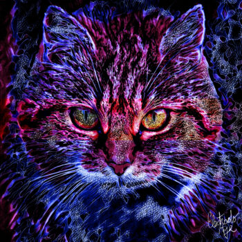 Digital Arts titled "Feline Look" by Electrodoage, Original Artwork, 2D Digital Work