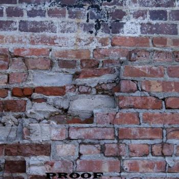 Fotografie getiteld "Brick Wall" door Amanda Snodgrass, Origineel Kunstwerk