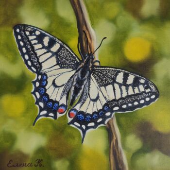 Pintura intitulada "Butterfly Mahaon" por Elena Kozyutenko, Obras de arte originais, Óleo Montado em Cartão