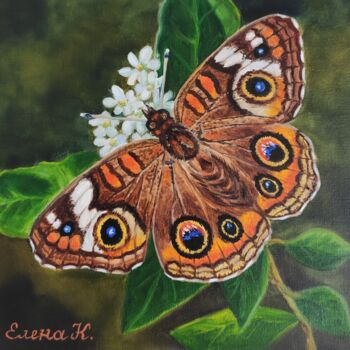 Painting titled "Junonia butterfly" by Elena Kozyutenko, Original Artwork, Oil Mounted on Cardboard