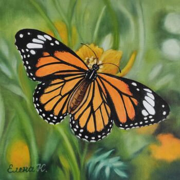 Painting titled "Monarch butterfly" by Elena Kozyutenko, Original Artwork, Oil Mounted on Cardboard